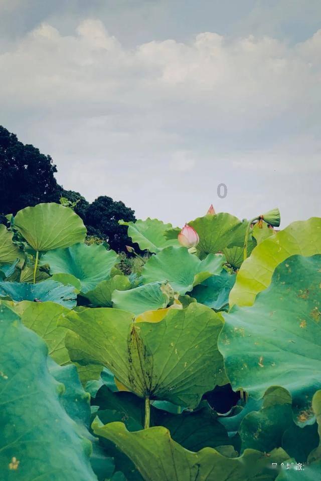 对方说想你了幽默回答有哪些？游戏画面